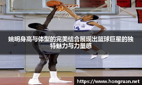摩根体育官网